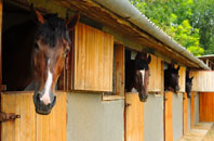 free Ostend stable construction quotes